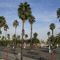 IMG 341